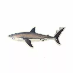 Studio Abachar Fish Stickers 17 Studio Abachar Fish Stickers -Apparel Shop 321716 great white