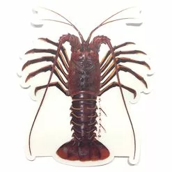 Studio Abachar Fish Stickers 15 Studio Abachar Fish Stickers -Apparel Shop 321736 studio abachar sticker cali lobster