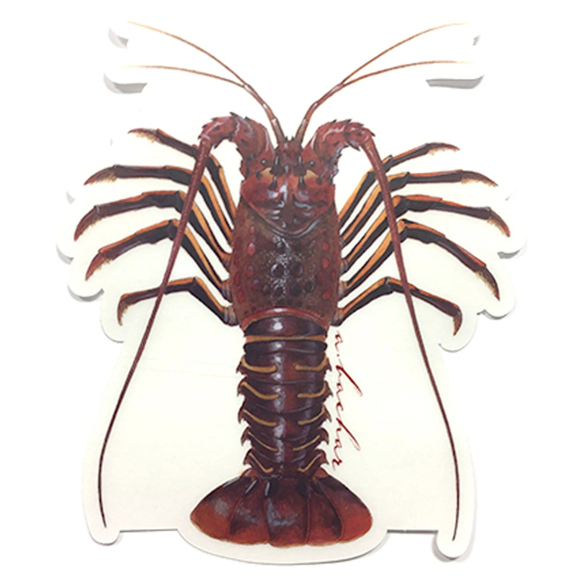 Studio Abachar Fish Stickers 6 Studio Abachar Fish Stickers - Image 4