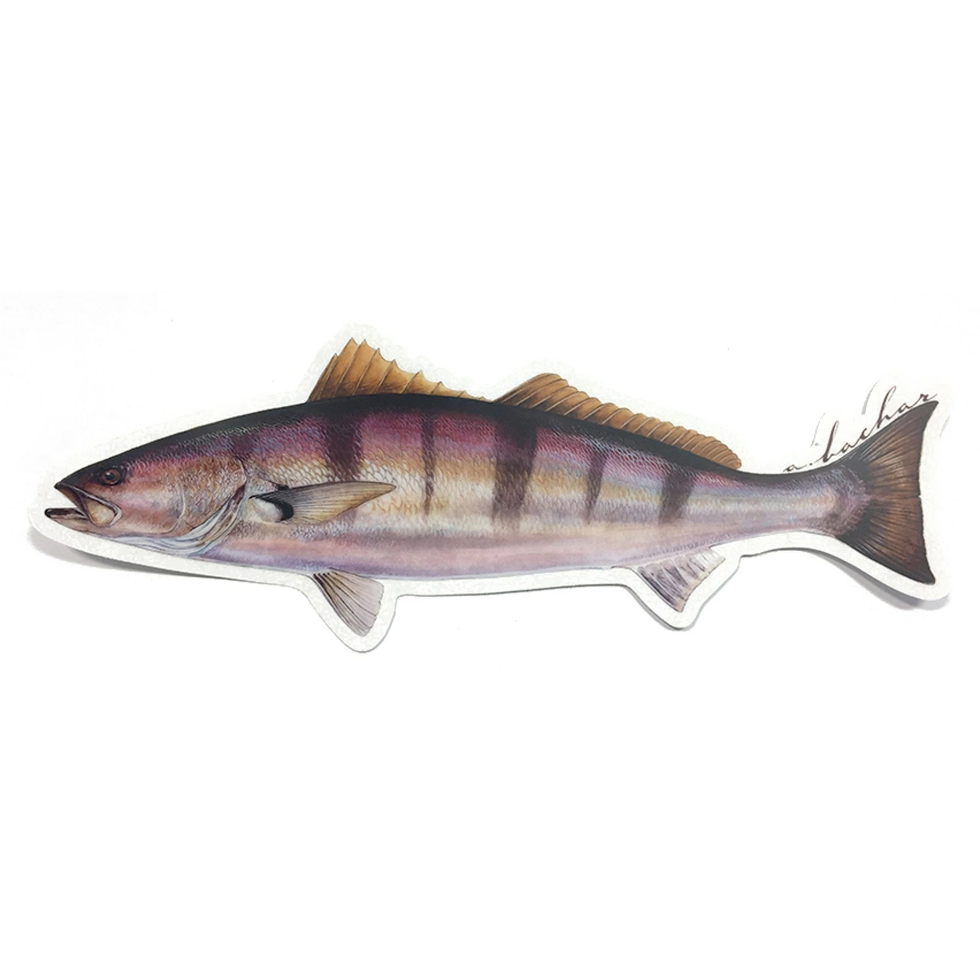 Studio Abachar Fish Stickers 12 Studio Abachar Fish Stickers - Image 10