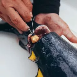 AFTCO Circuit Breaker Ike-Jime Kits 10 AFTCO Circuit Breaker Ike-Jime Kits -Apparel Shop aftco circuit breaker ike jime kit lifestyle