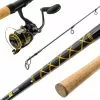 Daiwa BG Spinning Rod & Reel Combos