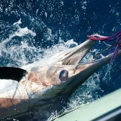 Sta-Stuk Conical By Fudo Hooks 17 Sta-Stuk Conical By Fudo Hooks -Apparel Shop fudo sta stuk fishing hook marlin