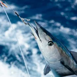 Sta-Stuk Conical By Fudo Hooks 18 Sta-Stuk Conical By Fudo Hooks -Apparel Shop fudo sta stuk fishing hook wahoo