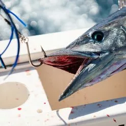 Sta-Stuk Knife Edge By Fudo Hooks -Apparel Shop fudo sta stuk fishing hook wahoo 2 2